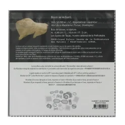 Microfibre Bison se léchant