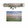 Micro Puzzle 150 pièces Victor Navlet - Vue générale de Paris, prise de l'Observatoire, en ballon, 1855