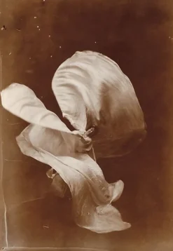 Best Mlle Loïe Fuller (panneaux acryliques) Panneaux Acryliques