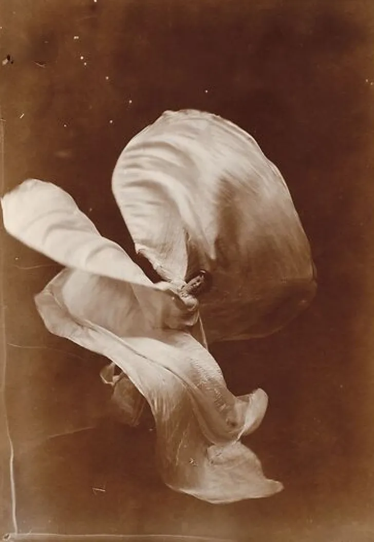 Best Mlle Loïe Fuller (panneaux acryliques) Panneaux Acryliques