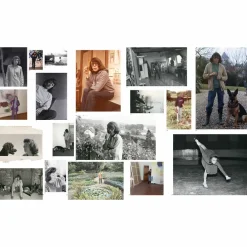 Monet Mitchell - Catalogue d'exposition