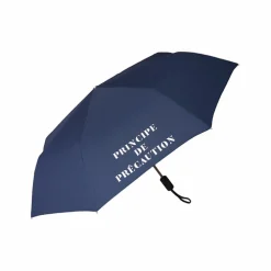 Parapluie pliable Conseil constitutionnel - Principe de précaution