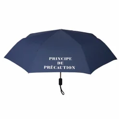 Parapluie pliable Conseil constitutionnel - Principe de précaution