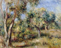 Paysage de Cagnes (toiles encadrées)