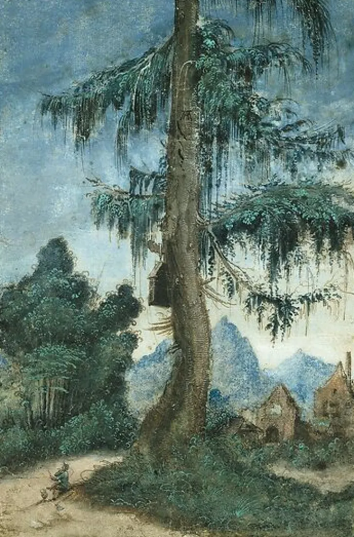 Paysage à l'épicéa et au bûcheron (toiles encadrées) Toiles Encadrées|Affiches D'Art Encadrées