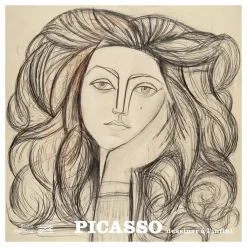 Best Picasso - Dessiner à l'infini - Album de l'exposition Catalogues D'Exposition