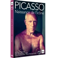 Online Picasso. Naissance de l'icône Dvd Culturels