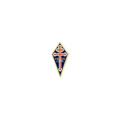 Pin's France libre