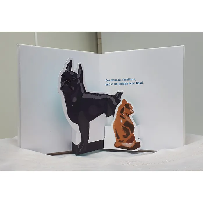Pop-up Animaux Pompon