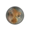 New Presse-papiers Rosa Bonheur - Tête de lion Accessoires De Bureau