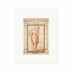 Reproduction sous Marie-Louise Francesco De' Rossi, dit Salviati - Nu féminin voilé