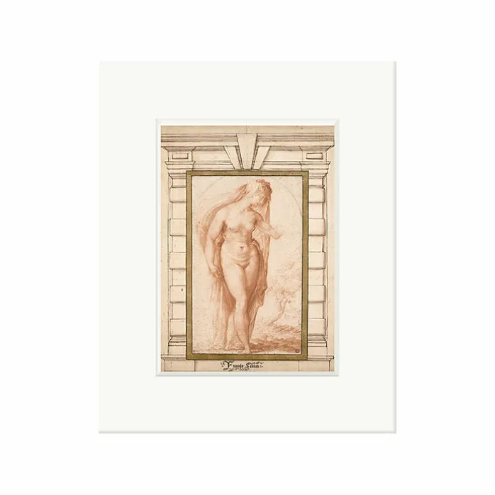 Reproduction sous Marie-Louise Francesco De' Rossi, dit Salviati - Nu féminin voilé