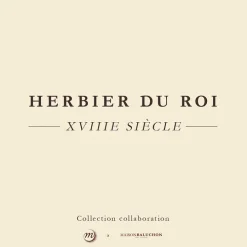 Tablier vert Herbier du roi - Maison Baluchon