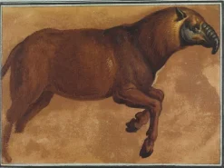 Tapir (panneaux acryliques)