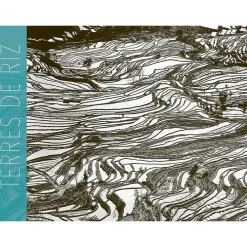 Terres de Riz - Catalogue d'exposition