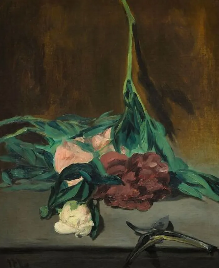 Tige de pivoines et sécateur (affiches d'art encadrées)