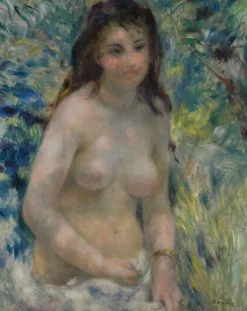 Torse, effet de soleil (toiles encadrées)