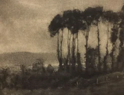 Toucques Valley (panneaux aluminium)