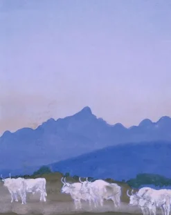 New Trois couples de boeufs blancs sur fond de montagnes (les Apennins), le matin (affiches d'art) Affiches D'Art