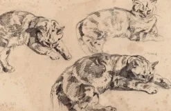 Trois études de chats allongés, la tête vers la droite (toiles sur châssis)