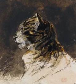 Best Tête de chat (toiles sur châssis) Toiles Sur Châssis|Affiches D'Art