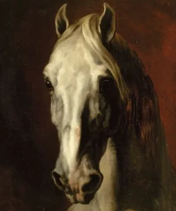Clearance Tête de cheval blanc (toiles sans cadre) Toiles Sans Cadre|Affiches D'Art Encadrées