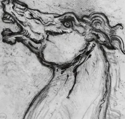 Outlet Tête de cheval pour Diomède (toiles sur châssis) Toiles Sur Châssis