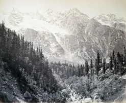 Wanga valley and glacier (Abies Webbiana) [Himachal Pradesh. Vallée de Wanga et glaciers], 1866 (panneaux aluminium)